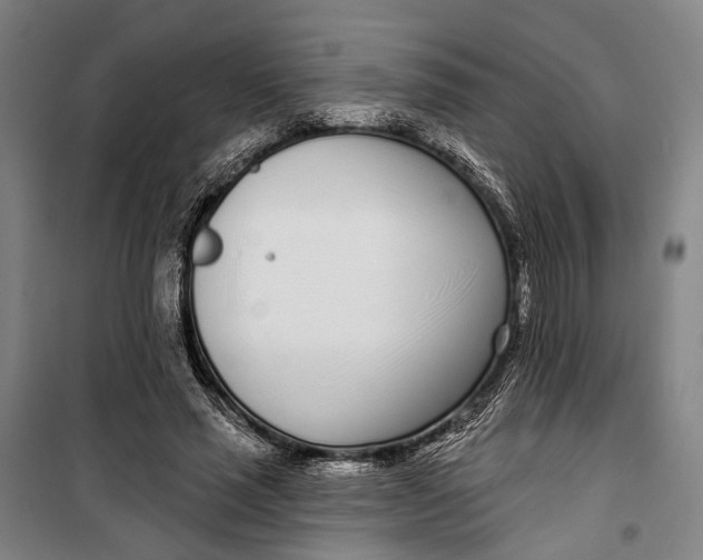 X0000099540637200806061455