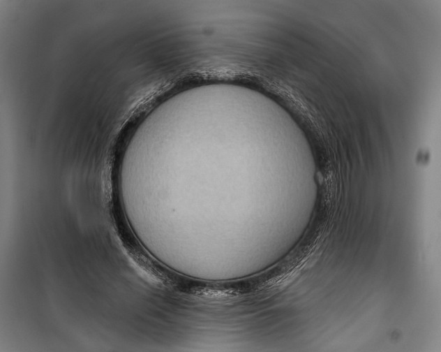 X0000099540638200806061455