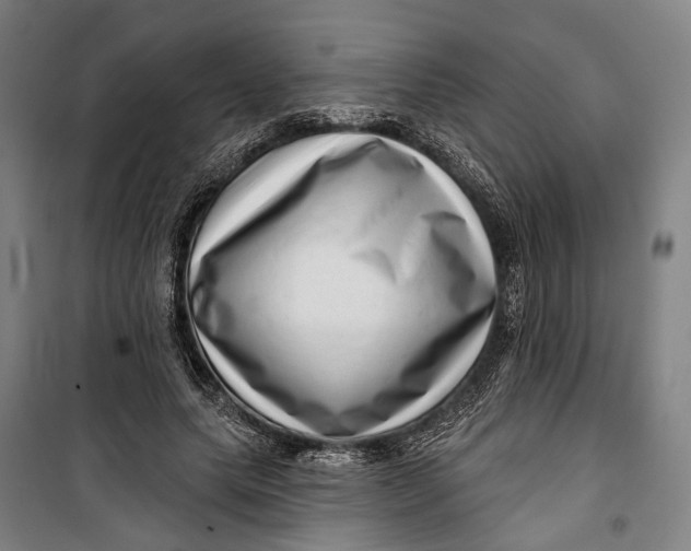 X0000099540639200806061455