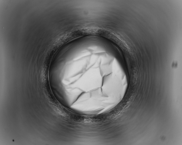 X0000099540641200806061455