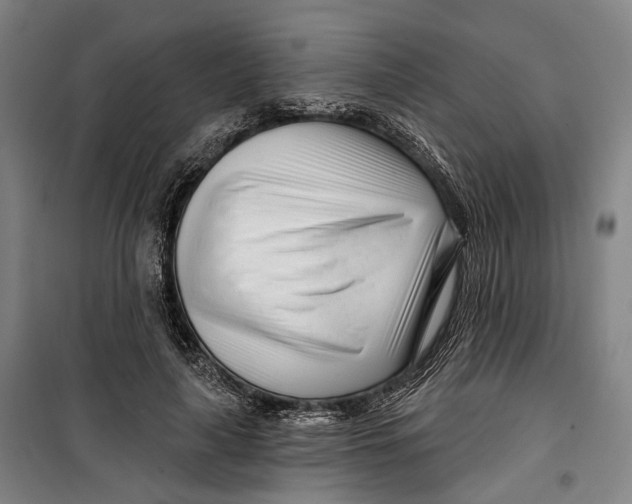 X0000099540643200806061455