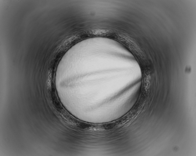 X0000099540644200806061455