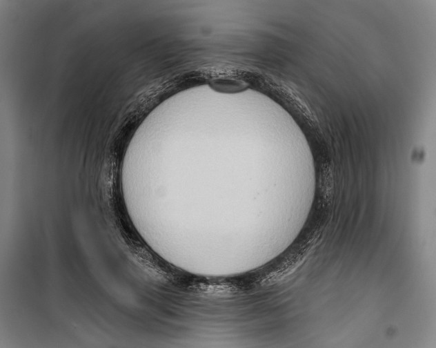 X0000099540645200806061455