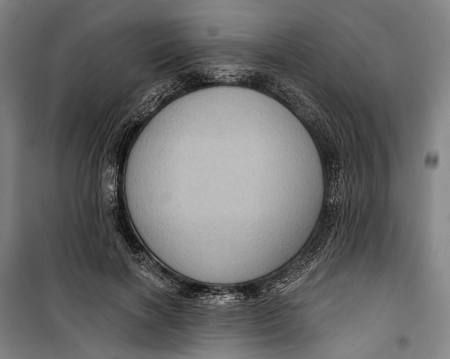 X0000099540646200806061455