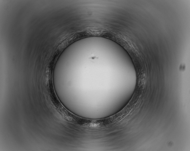 X0000099540647200806061455