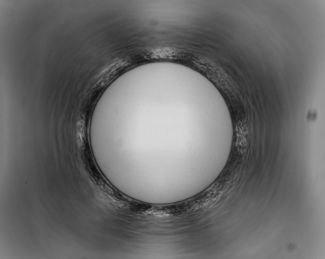 X0000099540648200806061455