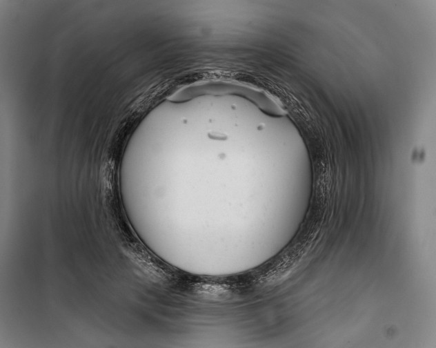 X0000099540649200806061455