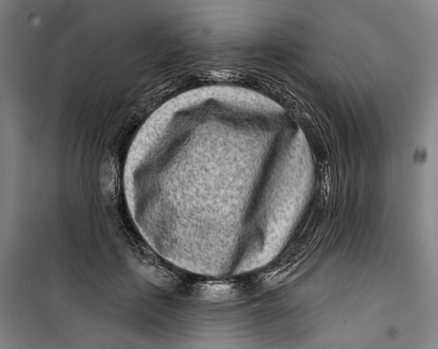 X0000099540651200806061455