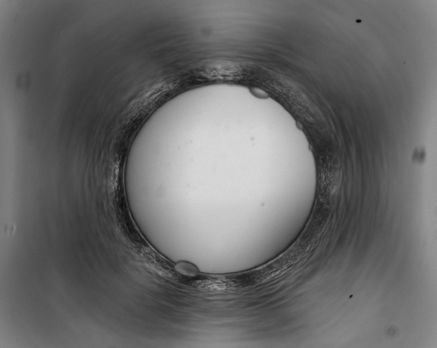 X0000099540652200806061455