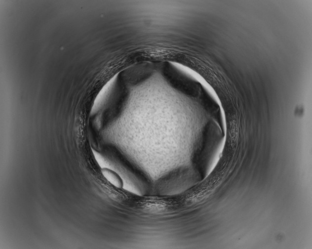 X0000099540653200806061455