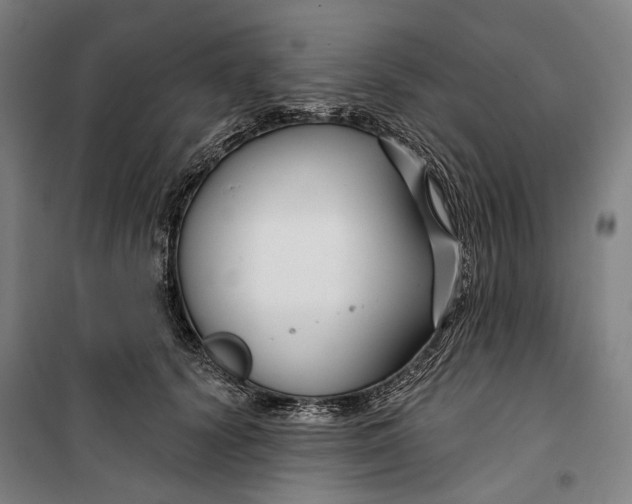 X0000099540656200806061455