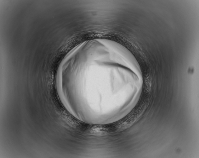 X0000099540657200806061455