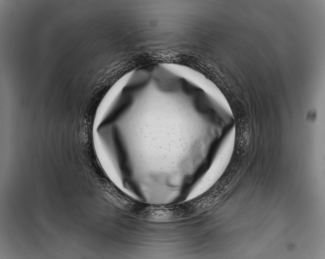 X0000099540658200806061455