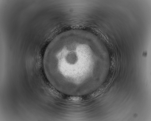 X0000099540659200806061455