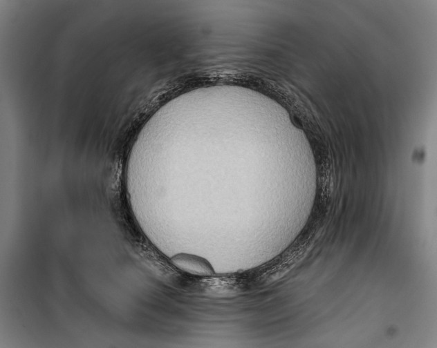 X0000099540660200806061455