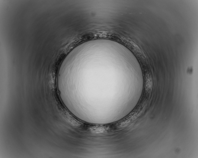 X0000099540661200806061455