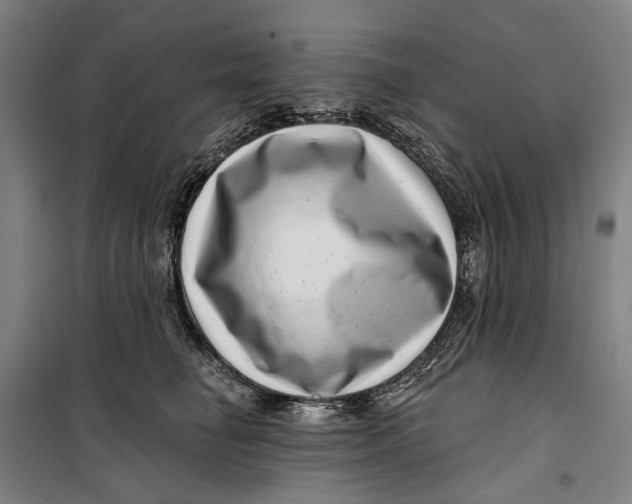 X0000099540662200806061455