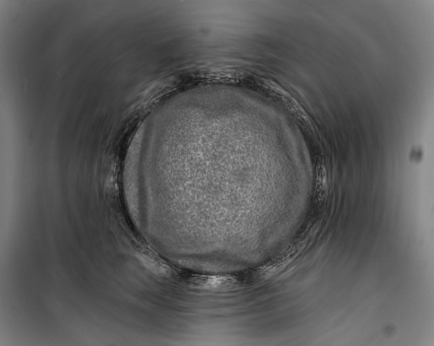 X0000099540663200806061455