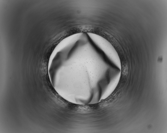 X0000099540666200806061455