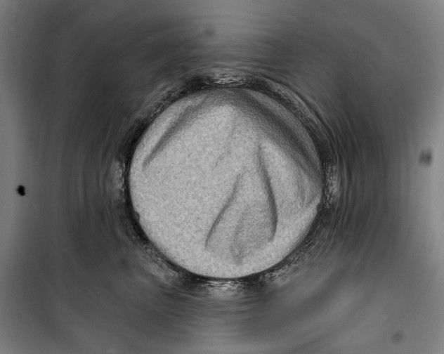 X0000099540667200806061455