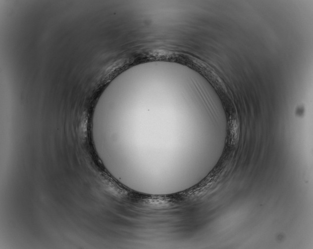 X0000099540668200806061455