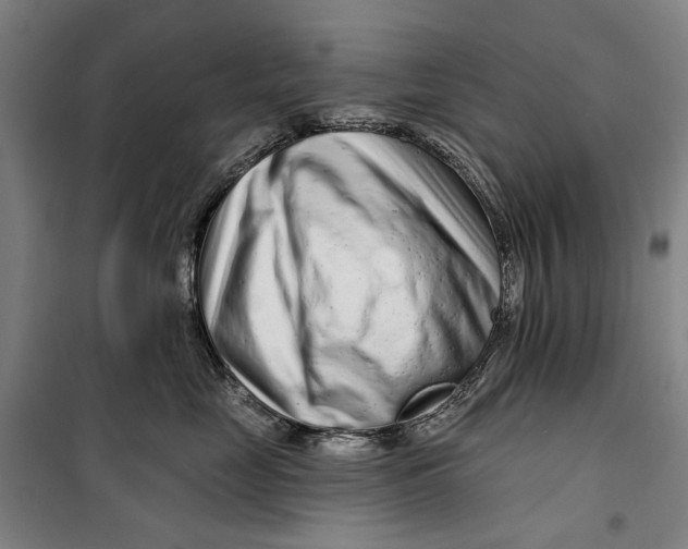 X0000099540669200806061455