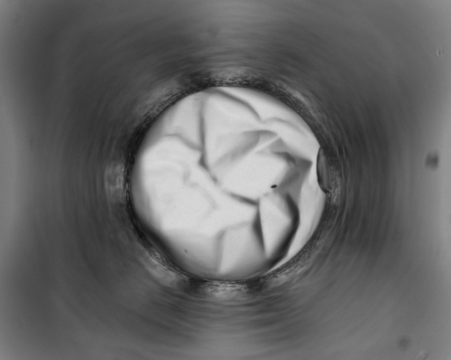 X0000099540670200806061455