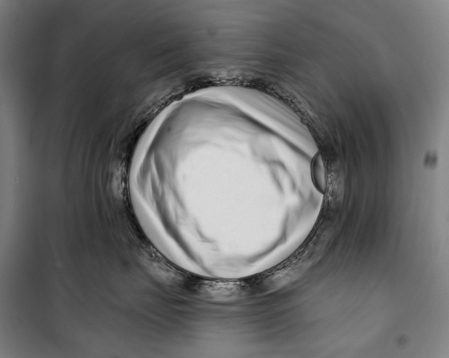 X0000099540671200806061456