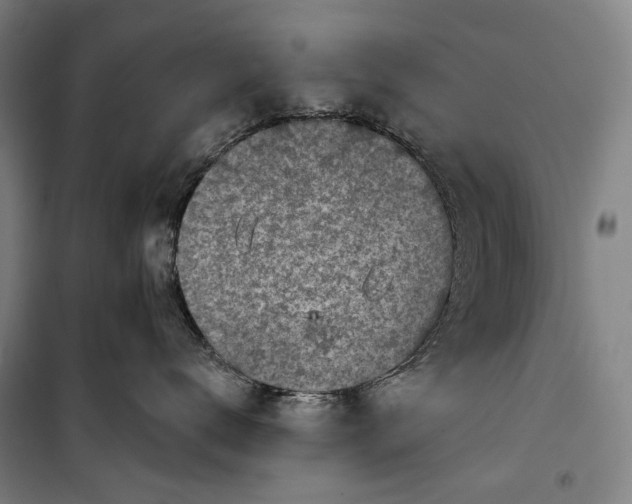 X0000099540672200806061456