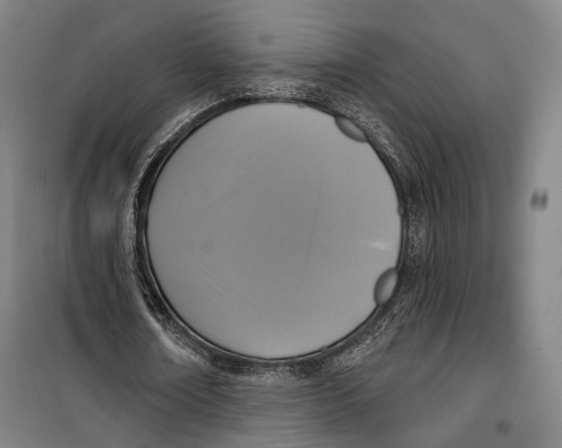 X0000099540674200806061455