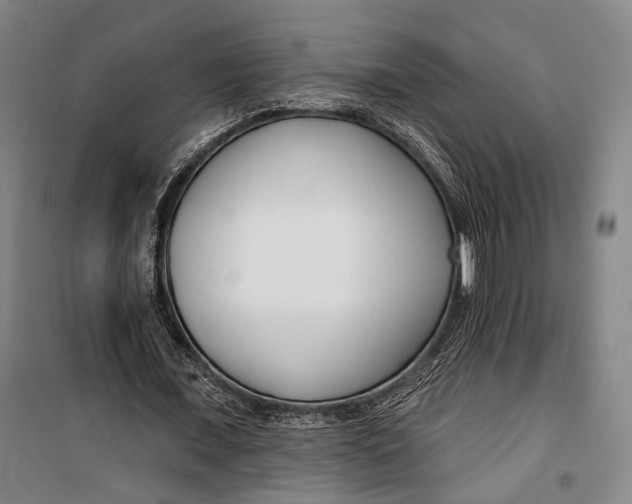 X0000099540675200806061455