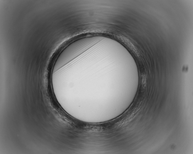 X0000099540676200806061455