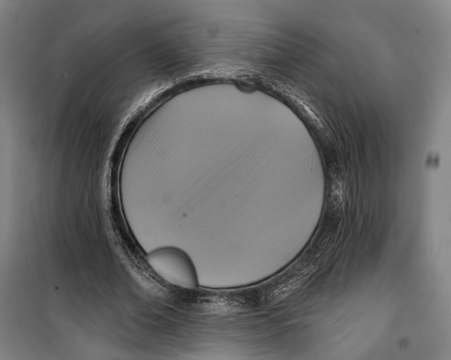 X0000099540678200806061455