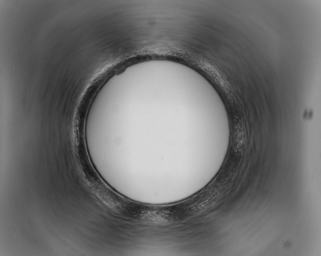 X0000099540680200806061455