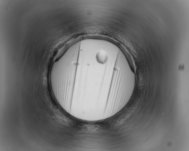 X0000099540681200806061455