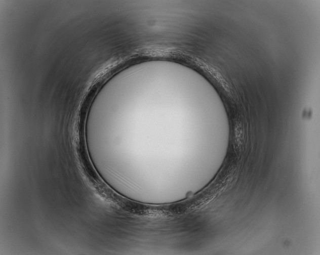 X0000099540682200806061455