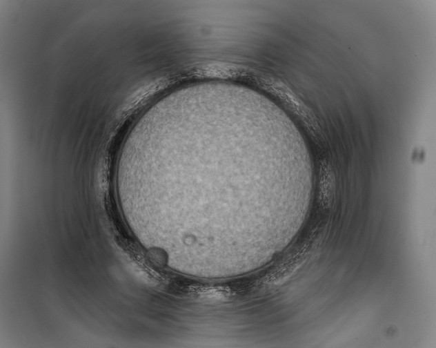 X0000099540683200806061455