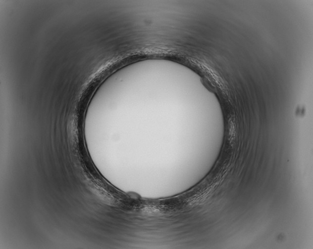 X0000099540684200806061455