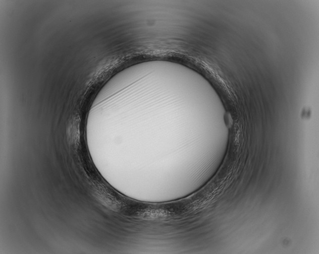 X0000099540685200806061455