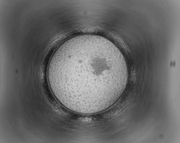 X0000099540687200806061455