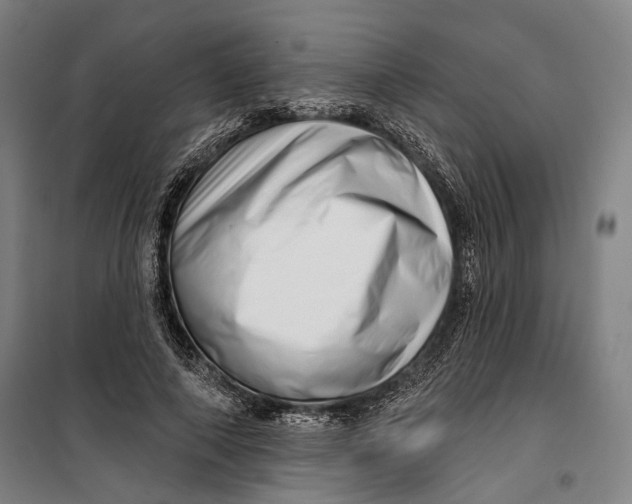 X0000099540690200806061455