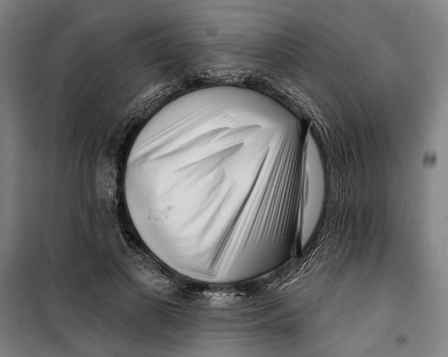 X0000099540693200806061455