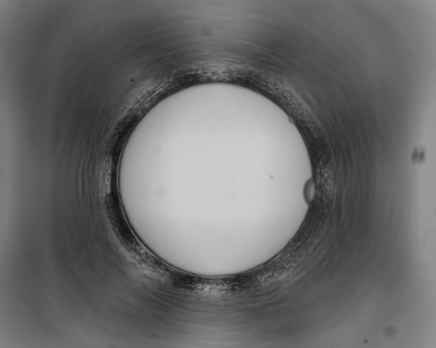 X0000099540694200806061455