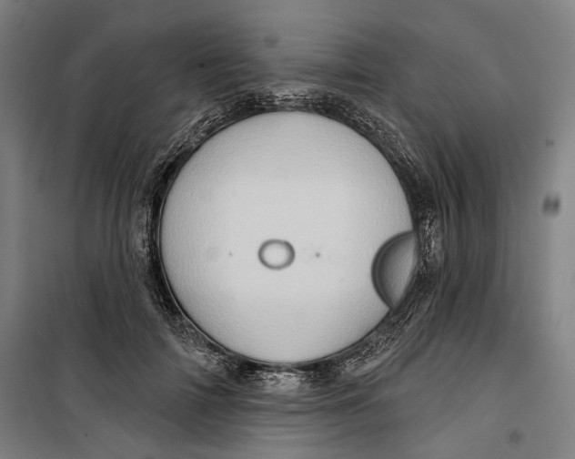 X0000099540698200806061454