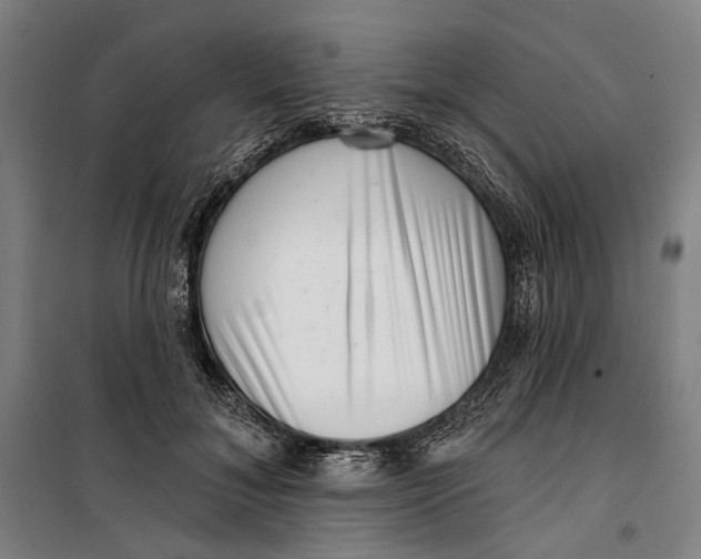 X0000099540700200806061454