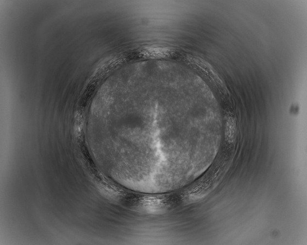 X0000099540701200806061454