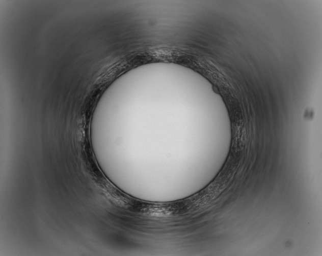 X0000099540702200806061454