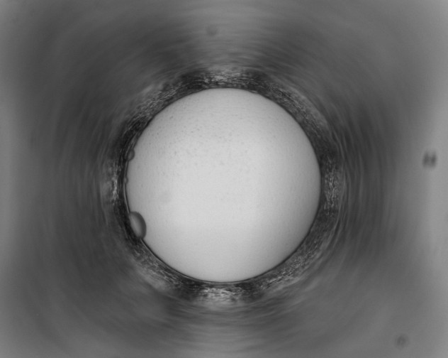 X0000099540703200806061454