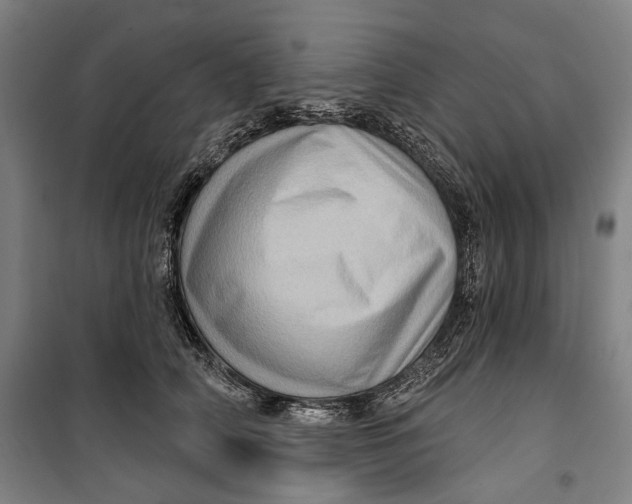 X0000099540706200806061454