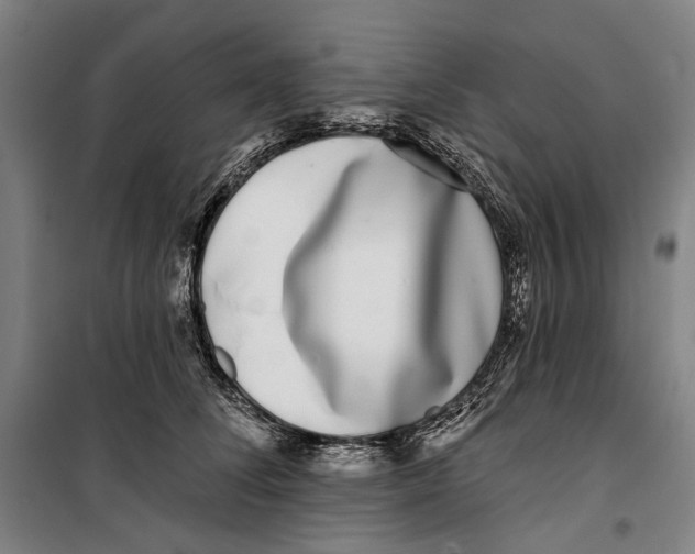 X0000099540708200806061454